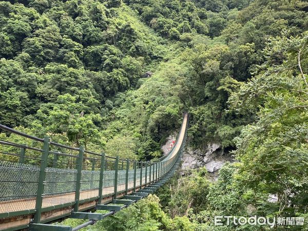 ▲▼大農大富平地森林公園。（圖／花蓮分署提供，下同)