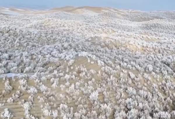 ▲▼塔克拉瑪干沙漠變「雪海」。（圖／翻攝自微博）