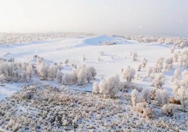 ▲▼塔克拉瑪干沙漠變「雪海」。（圖／翻攝自微博）