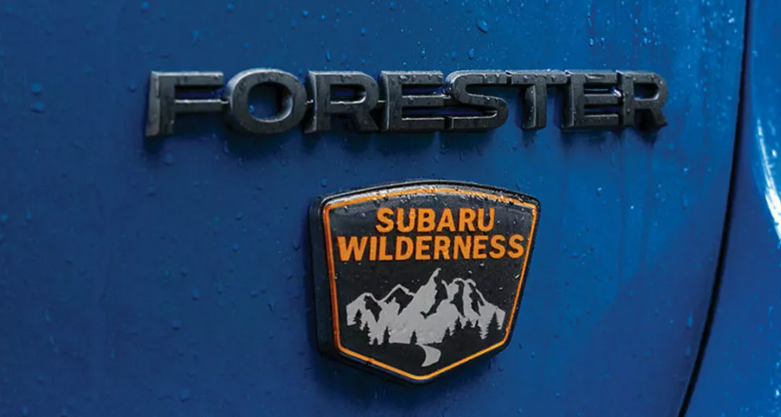 ▲無偽裝的Forester Wilderness越野版被捕獲！（圖／翻攝自IG@kindelauto）