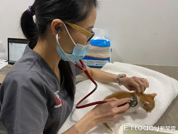 ▲▼  寵物醫院,獸醫  。（圖／記者崔至雲攝）