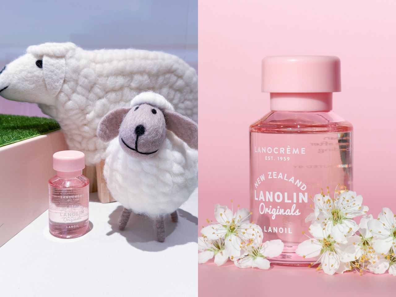 刮痧。（圖／記者李薇攝、品牌提供、達志示意圖）