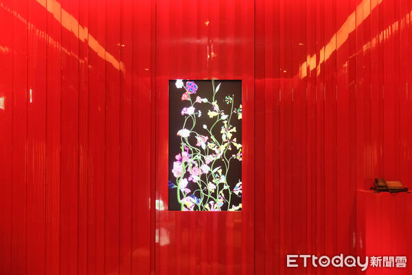 ▲台北W飯店對外公開翻修後全新面貌,台北W飯店。（圖／記者彭懷玉攝）