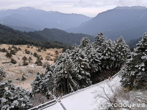 合歡山下雪。（圖／民眾提供）