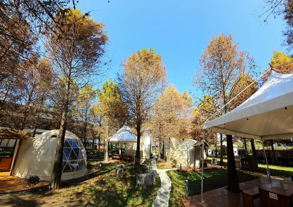 ▲南投埔里「水与松萌萌園」去年12月試營運。（圖／業者提供）