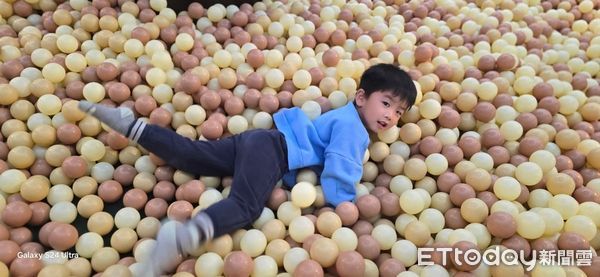 ▲▼ 中埔穀倉農創園區共和市集  。（圖／記者翁伊森攝）