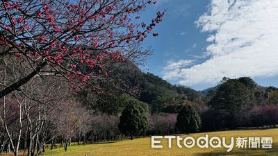 奧萬大、松雪樓1／27-28暫停住宿　奧萬大除夕休園、大年初一開放