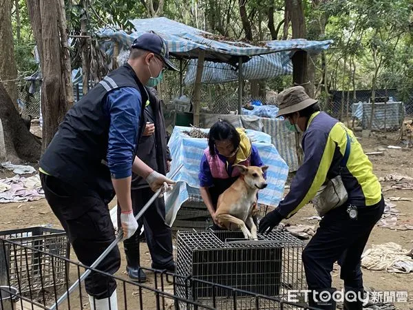 ▲台南市南區哈赫拿爾森林內犬隻影響遊客遊憩動線，動保處對森林周遭遊蕩犬，協助愛心人士移置森林內犬隻計39隻。（圖／記者林東良翻攝，下同）