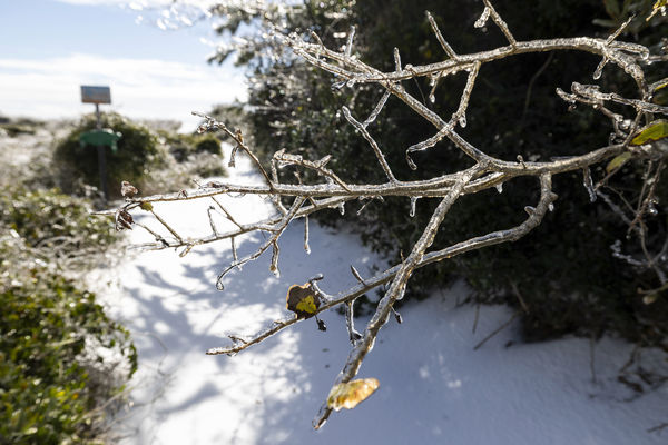 ▲▼美國南部暴風雪至少12死，南卡州罕見雪景。（圖／達志影像／美聯社）