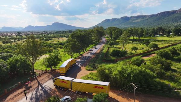 ▲非洲禿鷹保育計畫的長途運送旅程。（圖／DHL提供）