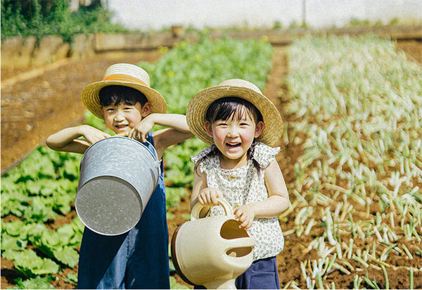 ▲生態農場摘採蔬菜。（圖／取自富邦銀行網站）