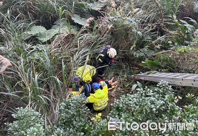 桃園男酒後如廁跌落3米深邊坡 警消架梯拉繩索救援