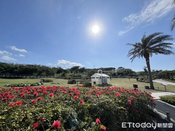 ▲▼花蓮春節繁花盛開，民眾可考慮到花蓮享受自然系景點走春踏青。（圖／花蓮縣政府提供，下同）