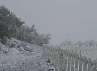 玉山下雪了！寒流冰封「氣溫零下5度」　銀白美景曝光