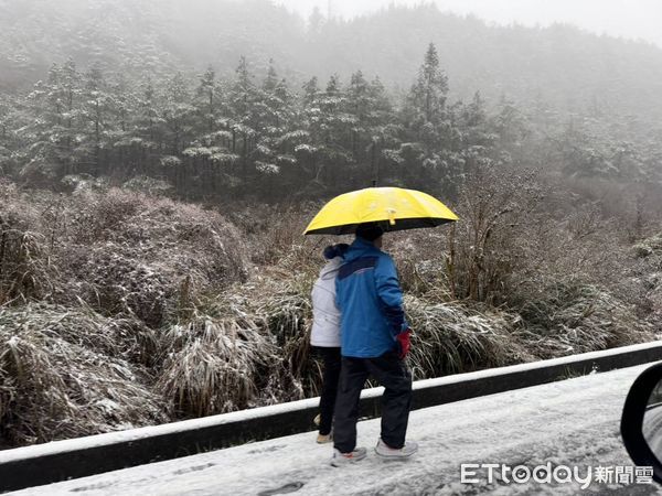 ▲▼             。（圖／民眾提供）