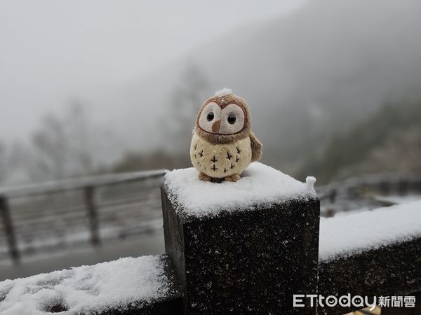 ▲▼     太平山下冰霰        。（圖／太平山莊提供）