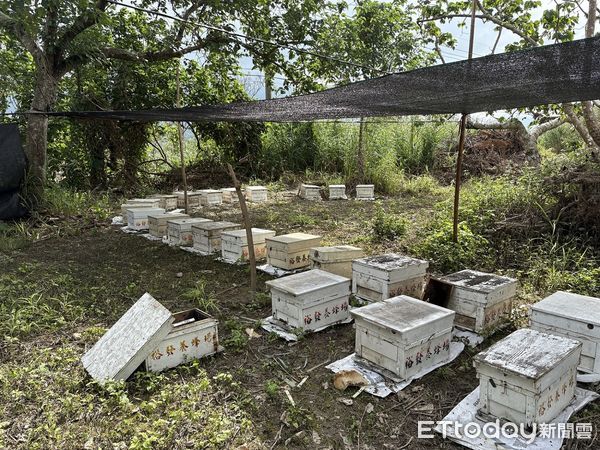 ▲▼出動野灣團隊等共21人進行救援。（圖／花蓮分會署提供，下同）