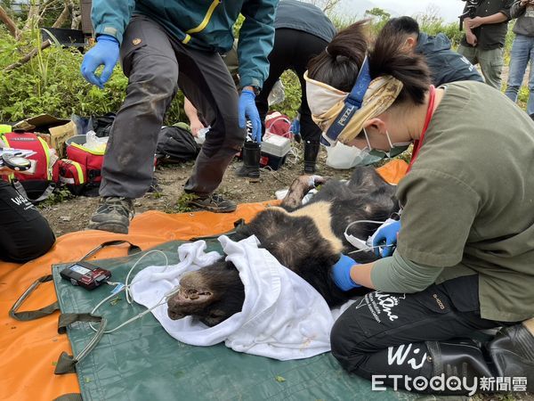 ▲▼出動野灣團隊等共21人進行救援。（圖／花蓮分會署提供，下同）