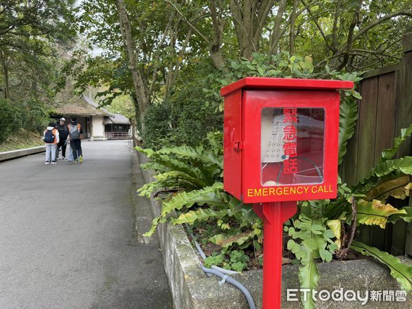 台北市立動物園鬣狗。（圖／台北市立動物園提供）