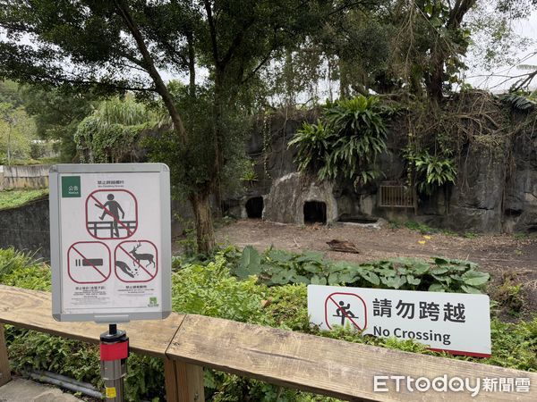 台北市立動物園鬣狗。（圖／台北市立動物園提供）