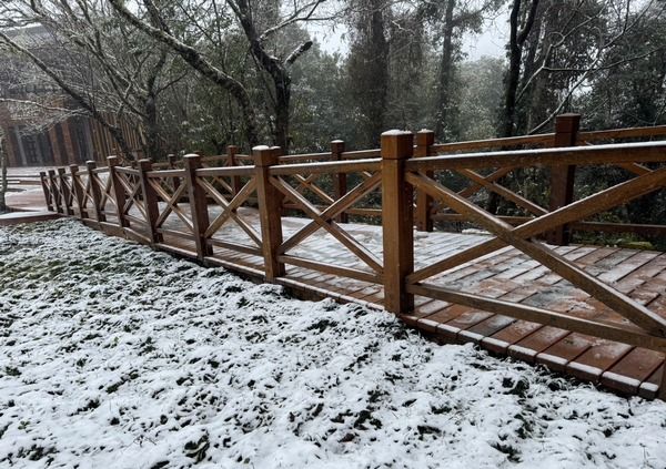 ▲桃園拉拉山飄初雪