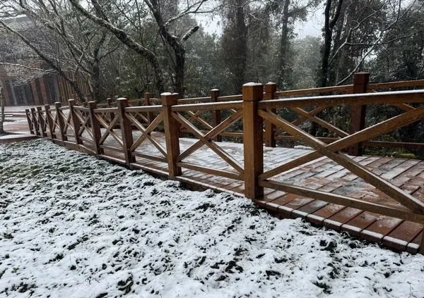 ▲桃園拉拉山飄初雪