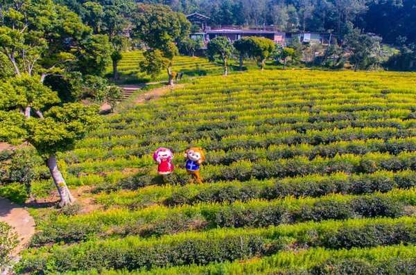 ▲農曆連假走春踏青，桃園休閒農業區給您體驗自然風光