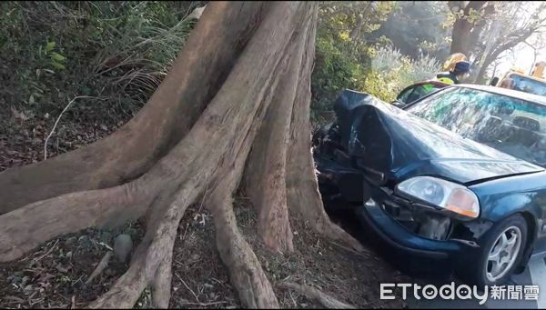 ▲▼      轎車突自撞路樹 駕駛傷重不治       。（圖／記者楊永盛翻攝）