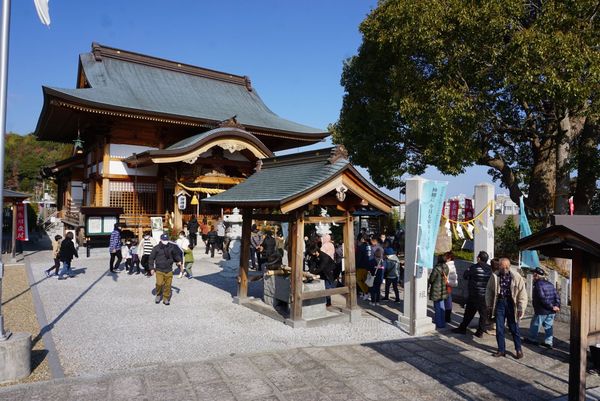 日本人今年都來這參拜！唯一有「活體白蛇」神社　御守藏蛇皮超招財