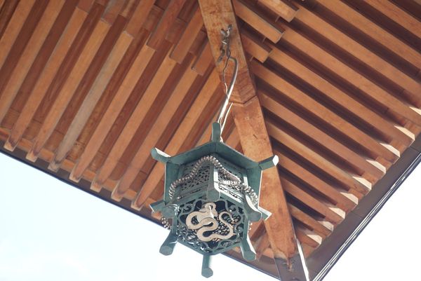 日本人今年都來這參拜！唯一有「活體白蛇」神社　御守藏蛇皮超招財
