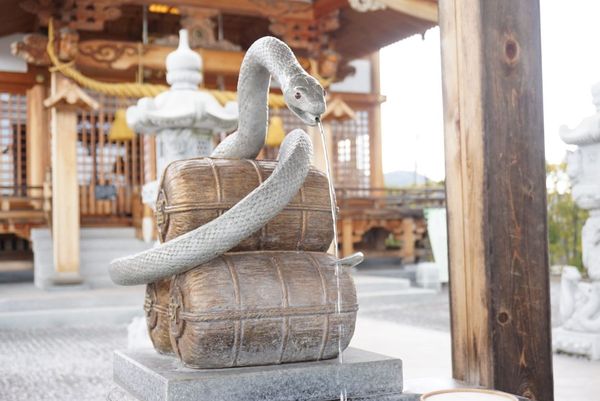 日本人今年都來這參拜！唯一有「活體白蛇」神社　御守藏蛇皮超招財
