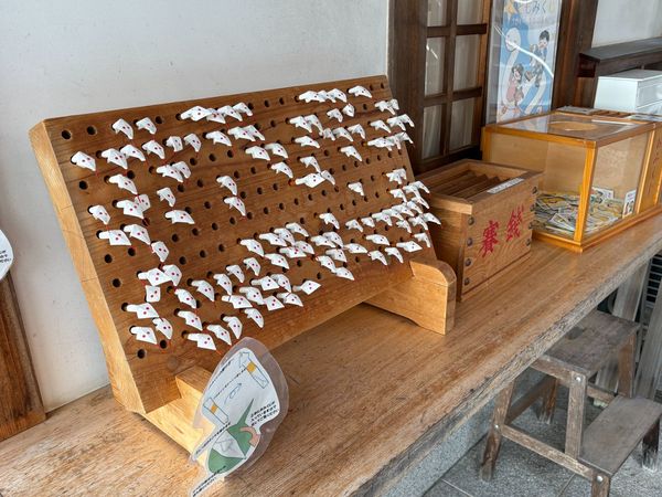 日本人今年都來這參拜！唯一有「活體白蛇」神社　御守藏蛇皮超招財