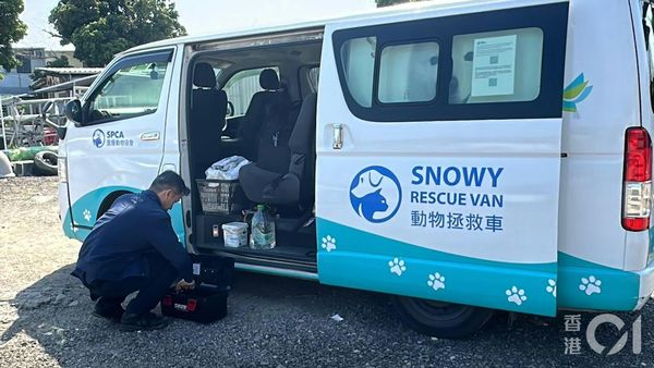 ▲▼香港初一驚見「貓頭祭品」　疑有人殺害小動物獻祭！（圖／翻攝香港01，勿亂用）