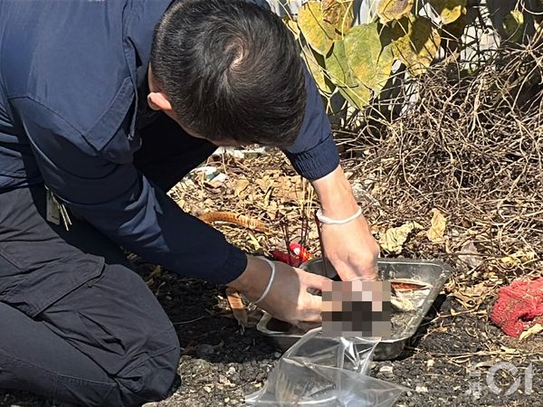 ▲▼香港初一驚見「貓頭祭品」　疑有人殺害小動物獻祭！（圖／翻攝香港01，勿亂用）