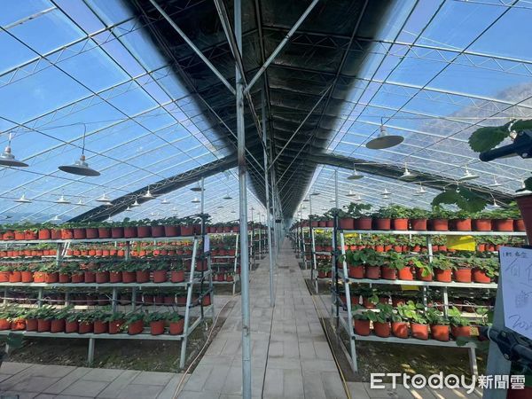 ▲▼ 山西專題、草莓、生態雞、台灣團隊技術指導            。（圖／記者任以芳攝）