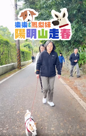 ▲▼前總統蔡英文帶愛犬走春。（圖／翻攝自Facebook／蔡英文）