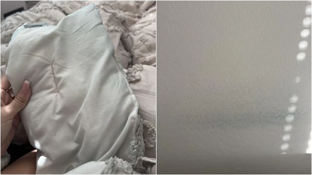 ▲▼家裡到處綠綠的「竟然真的被劈腿」　人妻一看老公手機崩潰。（圖／翻攝Reddit）