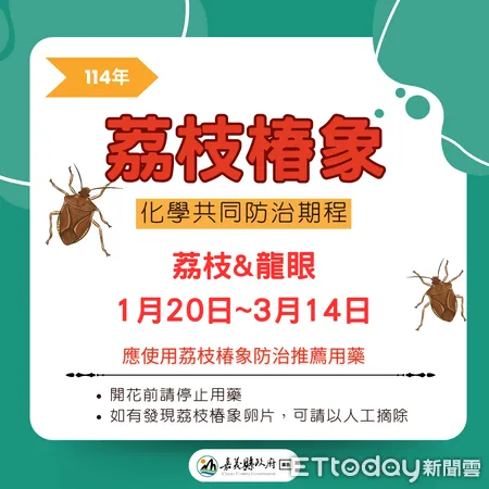 ▲▼  嘉南地區1月至3月進行荔枝椿象防治作業    。（圖／嘉義縣政府提供）