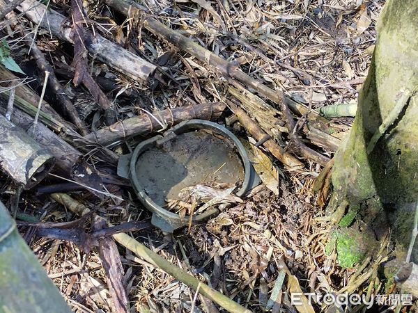 ▲▼   農作遭野生動物危害，林業署聯合查緝移除違法獵具並採「防護」、「驅趕」、「捕抓」多元防治  。（圖／林業保育署嘉義分署提供）