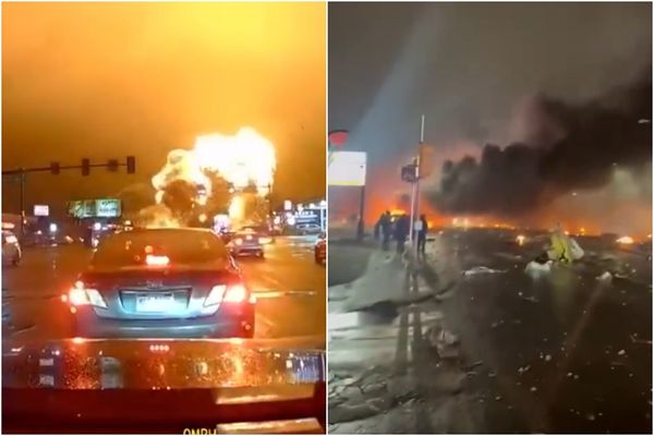 ▲▼             。（圖／翻攝自X）