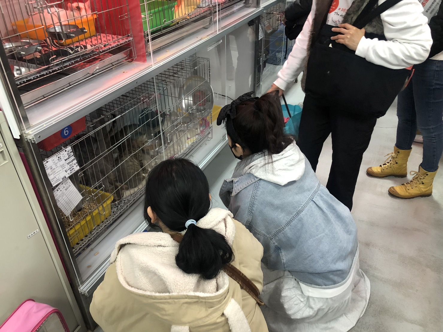 ▲Natural10攜手新北動保處。（圖／新北市動保處提供）