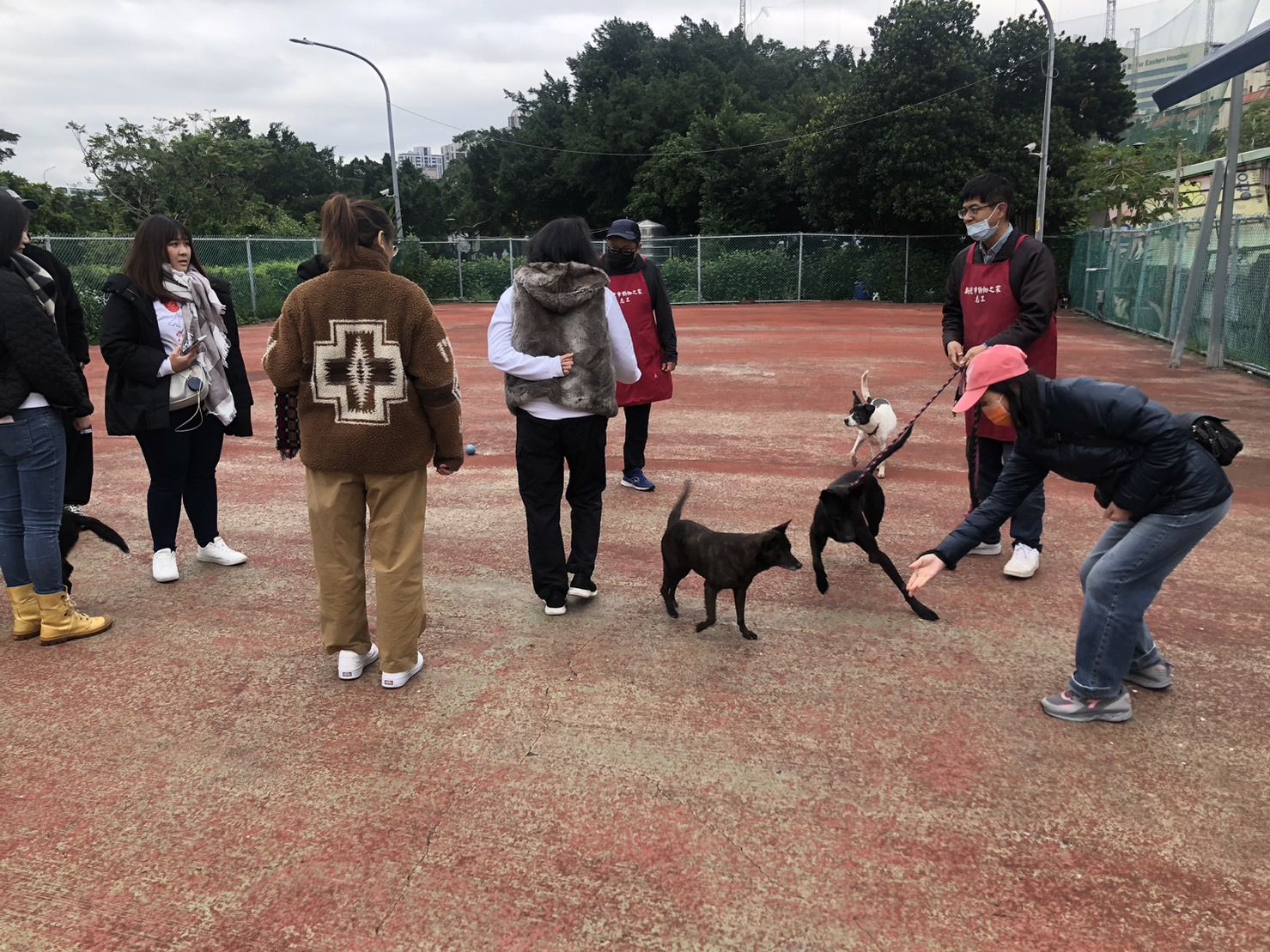 ▲Natural10攜手新北動保處。（圖／新北市動保處提供）