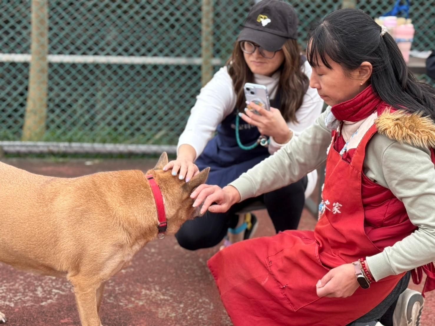 ▲Natural10攜手新北動保處。（圖／新北市動保處提供）