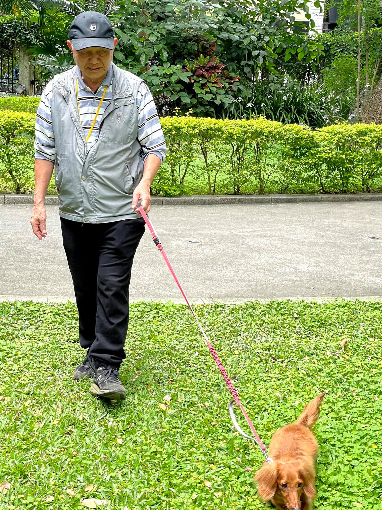 ▲▼林葉亭年前喪父　消失5天發文哭訴：我好想他。（圖／翻攝自Facebook／林葉亭粉絲團）