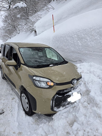 ▲▼史丹利 gigi。（圖／翻攝自FACEBOOK／熱血史丹利大叔應援團）