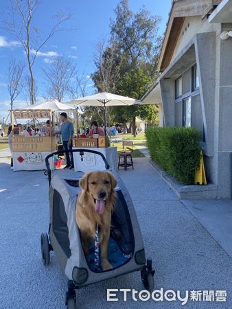 ▲古蹟行春系列活動結合古蹟園區開放寵物入園，使今年台南市文化局各園區春節期間湧入近29萬人次、創造逾700多萬餘元的收入佳績。（圖／記者林東良翻攝，下同）