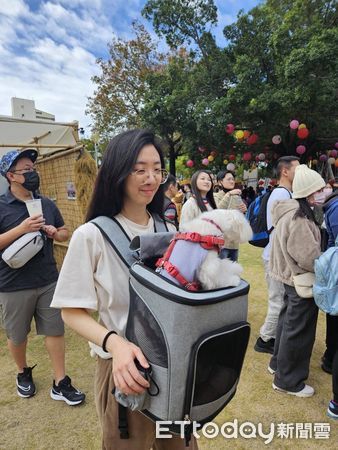 ▲古蹟行春系列活動結合古蹟園區開放寵物入園，使今年台南市文化局各園區春節期間湧入近29萬人次、創造逾700多萬餘元的收入佳績。（圖／記者林東良翻攝，下同）