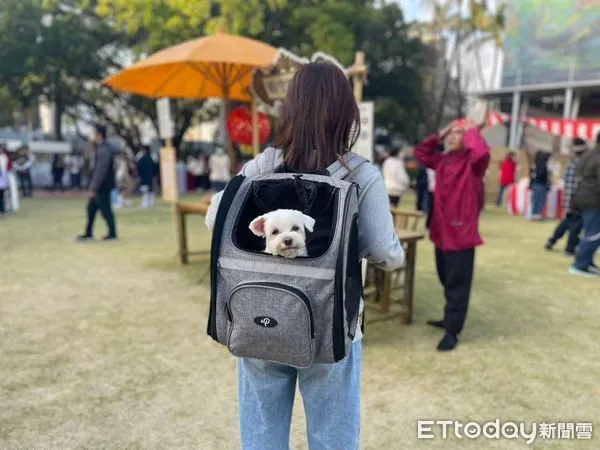 ▲古蹟行春系列活動結合古蹟園區開放寵物入園，使今年台南市文化局各園區春節期間湧入近29萬人次、創造逾700多萬餘元的收入佳績。（圖／記者林東良翻攝，下同）