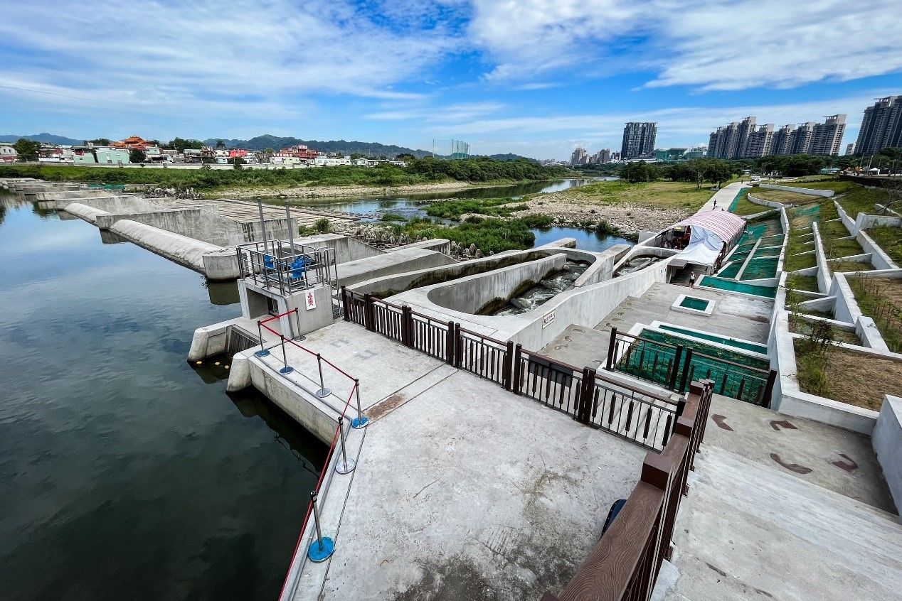 ▲碧潭堰啟用第2年 香魚與毛蟹重返新店溪。（圖／新北市水利局提供）