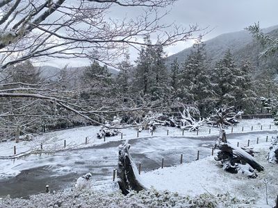 太平山下冰霰　遊客驚喜賞雪